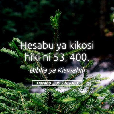Picture 05 - Hesabu 2:30 SWHULB - Hesabu ya kikosi hiki ni 53, - Bible Verse Picture