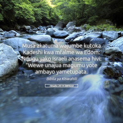 Picture 05 - Hesabu 20:14 SWHULB - Musa akatuma wajumbe kutoka Kadeshi kwa mfalme wa - Bible Verse Picture