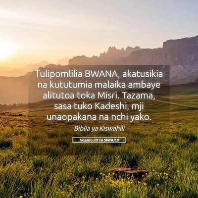 Picture 05 - Hesabu 20:16 SWHULB - Tulipomlilia BWANA, akatusikia na kututumia - Bible Verse Picture