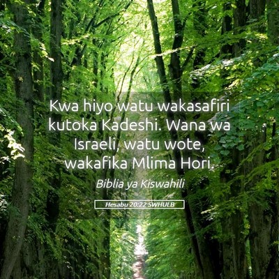 Picture 05 - Hesabu 20:22 SWHULB - Kwa hiyo watu wakasafiri kutoka Kadeshi. Wana wa - Bible Verse Picture