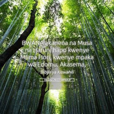 Picture 05 - Hesabu 20:23 SWHULB - BWANA akanena na Musa na Haruni hapo kwenye Mlima - Bible Verse Picture