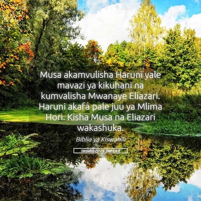 Picture 05 - Hesabu 20:28 SWHULB - Musa akamvulisha Haruni yale mavazi ya kikuhani - Bible Verse Picture