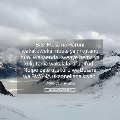 Picture 05 - Hesabu 20:6 SWHULB - Basi Musa na Haruni wakatoweka mbele ya mkutano - Bible Verse Picture