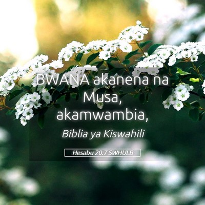 Picture 05 - Hesabu 20:7 SWHULB - BWANA akanena na Musa, - Bible Verse Picture