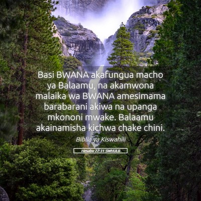 Picture 05 - Hesabu 22:31 SWHULB - Basi BWANA akafungua macho ya Balaamu, na - Bible Verse Picture