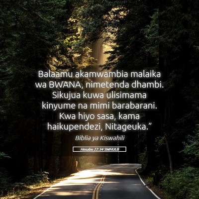 Picture 05 - Hesabu 22:34 SWHULB - Balaamu akamwambia malaika wa BWANA, nimetenda - Bible Verse Picture