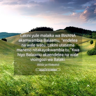 Picture 05 - Hesabu 22:35 SWHULB - Lakini yule malaika wa BWANA akamwambia Balaamu, - Bible Verse Picture