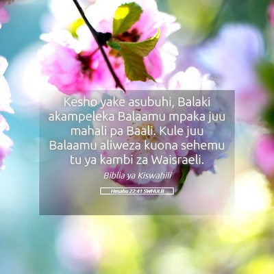Picture 05 - Hesabu 22:41 SWHULB - Kesho yake asubuhi, Balaki akampeleka Balaamu - Bible Verse Picture