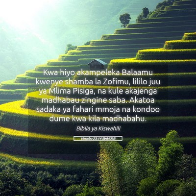 Picture 05 - Hesabu 23:14 SWHULB - Kwa hiyo akampeleka Balaamu kwenye shamba la - Bible Verse Picture
