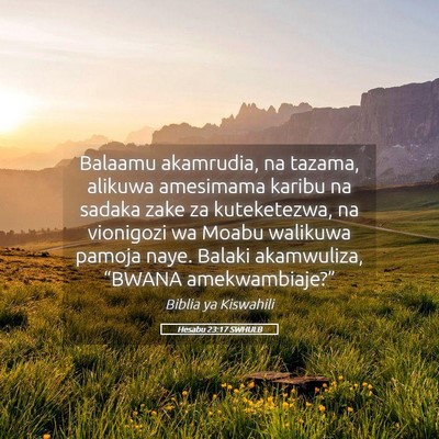 Picture 05 - Hesabu 23:17 SWHULB - Balaamu akamrudia, na tazama, alikuwa amesimama - Bible Verse Picture