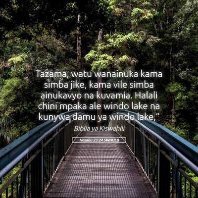 Picture 05 - Hesabu 23:24 SWHULB - Tazama, watu wanainuka kama simba jike, kama vile - Bible Verse Picture