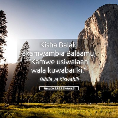 Picture 05 - Hesabu 23:25 SWHULB - Kisha Balaki akamwambia Balaamu, “Kamwe - Bible Verse Picture