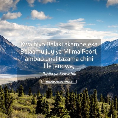 Picture 05 - Hesabu 23:28 SWHULB - Kwa hiyo Balaki akampeleka Balaamu juu ya Mlima - Bible Verse Picture