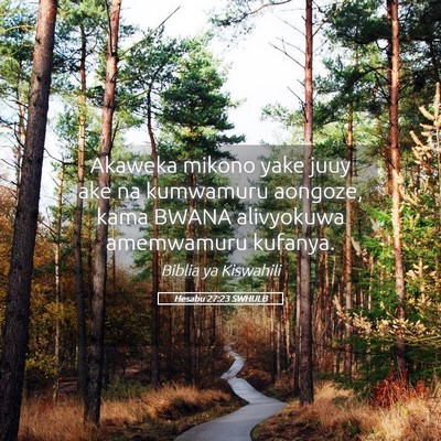 Picture 05 - Hesabu 27:23 SWHULB - Akaweka mikono yake juuy ake na kumwamuru - Bible Verse Picture