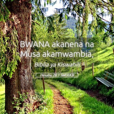Picture 05 - Hesabu 28:1 SWHULB - BWANA akanena na Musa - Bible Verse Picture
