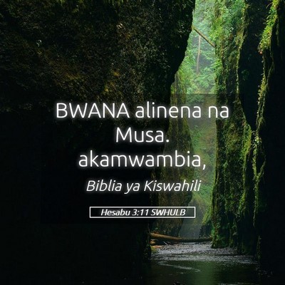 Picture 05 - Hesabu 3:11 SWHULB - BWANA alinena na Musa. - Bible Verse Picture