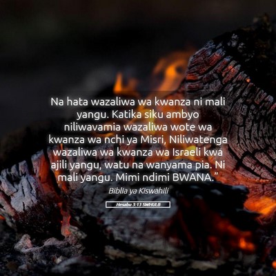 Picture 05 - Hesabu 3:13 SWHULB - Na hata wazaliwa wa kwanza ni mali yangu. Katika - Bible Verse Picture
