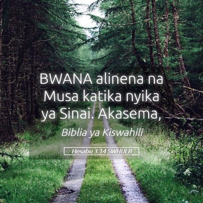 Picture 05 - Hesabu 3:14 SWHULB - BWANA alinena na Musa katika nyika ya Sinai. - Bible Verse Picture