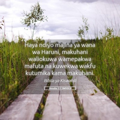 Picture 05 - Hesabu 3:3 SWHULB - Haya ndiyo majina ya wana wa Haruni, makuhani - Bible Verse Picture