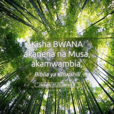 Picture 05 - Hesabu 31:25 SWHULB - Kisha BWANA akanena na Musa, - Bible Verse Picture