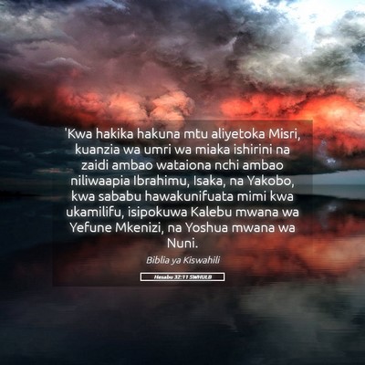 Picture 05 - Hesabu 32:11 SWHULB - 'Kwa hakika hakuna mtu aliyetoka Misri, kuanzia - Bible Verse Picture