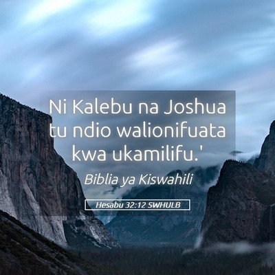 Picture 05 - Hesabu 32:12 SWHULB - Ni Kalebu na Joshua tu ndio walionifuata kwa - Bible Verse Picture