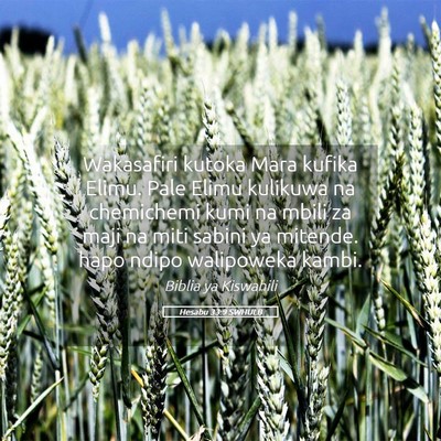 Picture 05 - Hesabu 33:9 SWHULB - Wakasafiri kutoka Mara kufika Elimu. Pale Elimu - Bible Verse Picture