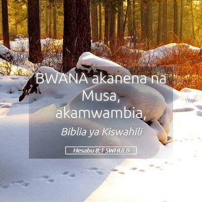 Picture 05 - Hesabu 8:1 SWHULB - BWANA akanena na Musa, - Bible Verse Picture