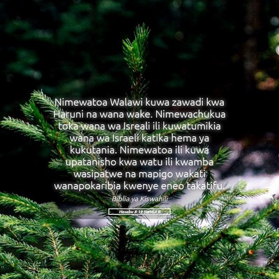 Picture 05 - Hesabu 8:19 SWHULB - Nimewatoa Walawi kuwa zawadi kwa Haruni na wana - Bible Verse Picture