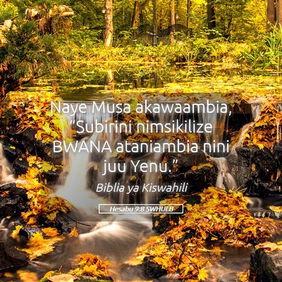 Picture 05 - Hesabu 9:8 SWHULB - Naye Musa akawaambia, “Subirini nimsikilize - Bible Verse Picture