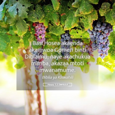 Picture 05 - Hosea 1:3 SWHULB - Basi Hosea akaenda akamwoa Gomeri binti Diblaimu, - Bible Verse Picture
