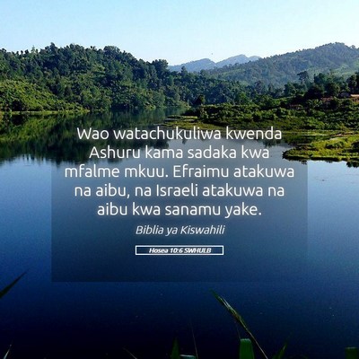 Picture 05 - Hosea 10:6 SWHULB - Wao watachukuliwa kwenda Ashuru kama sadaka kwa - Bible Verse Picture