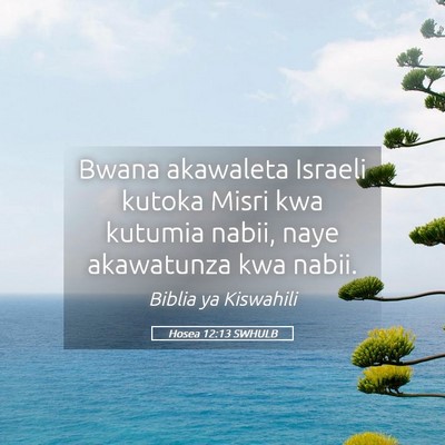 Picture 05 - Hosea 12:13 SWHULB - Bwana akawaleta Israeli kutoka Misri kwa kutumia - Bible Verse Picture