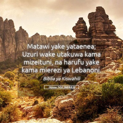 Picture 05 - Hosea 14:6 SWHULB - Matawi yake yataenea; Uzuri wake utakuwa kama - Bible Verse Picture