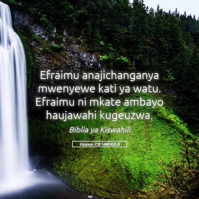Picture 05 - Hosea 7:8 SWHULB - Efraimu anajichanganya mwenyewe kati ya watu. - Bible Verse Picture