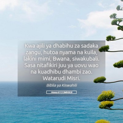 Picture 05 - Hosea 8:13 SWHULB - Kwa ajili ya dhabihu za sadaka zangu, hutoa nyama - Bible Verse Picture