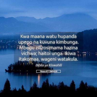 Picture 05 - Hosea 8:7 SWHULB - Kwa maana watu hupanda upepo na kuvuna kimbunga. - Bible Verse Picture