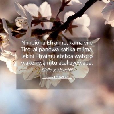 Picture 05 - Hosea 9:13 SWHULB - Nimeiona Efraimu, kama vile Tiro, alipandwa - Bible Verse Picture