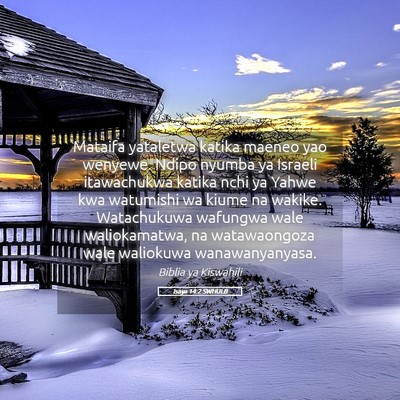 Picture 05 - Isaya 14:2 SWHULB - Mataifa yataletwa katika maeneo yao wenyewe. - Bible Verse Picture