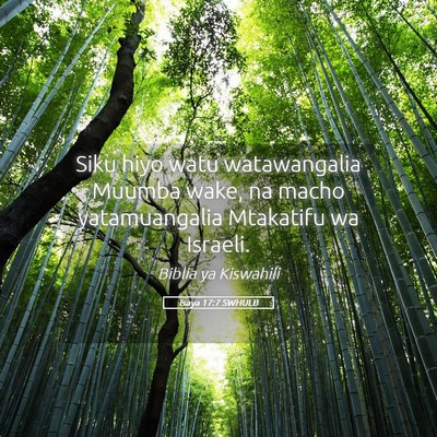 Picture 05 - Isaya 17:7 SWHULB - Siku hiyo watu watawangalia Muumba wake, na macho - Bible Verse Picture