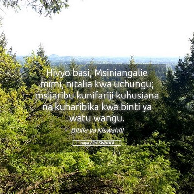 Picture 05 - Isaya 22:4 SWHULB - Hivyo basi, Msiniangalie mimi, nitalia kwa - Bible Verse Picture