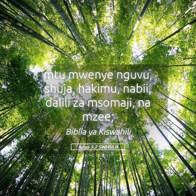 Picture 05 - Isaya 3:2 SWHULB - mtu mwenye nguvu, shuja, hakimu, nabii, dalili za - Bible Verse Picture