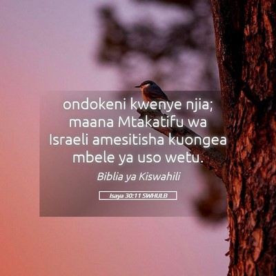 Picture 05 - Isaya 30:11 SWHULB - ondokeni kwenye njia; maana Mtakatifu wa Israeli - Bible Verse Picture