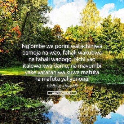 Picture 05 - Isaya 34:7 SWHULB - Ng'ombe wa porini watachinjwa pamoja na wao, - Bible Verse Picture