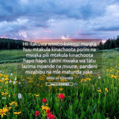 Picture 05 - Isaya 37:30 SWHULB - Hii itakuwa wimbo kwenu: mwaka huu mtakula - Bible Verse Picture
