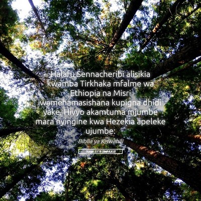 Picture 05 - Isaya 37:9 SWHULB - Halafu Sennacheribi alisikia kwamba Tirkhaka - Bible Verse Picture