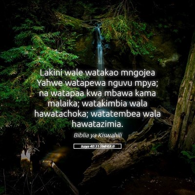 Picture 05 - Isaya 40:31 SWHULB - Lakini wale watakao mngojea Yahwe watapewa nguvu - Bible Verse Picture
