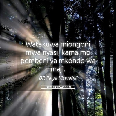 Picture 05 - Isaya 44:4 SWHULB - Watakuwa miongoni mwa nyasi, kama mti pembeni ya - Bible Verse Picture