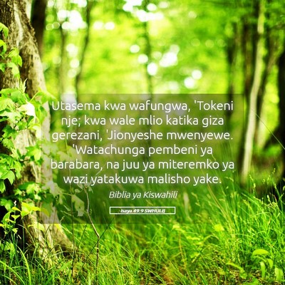 Picture 05 - Isaya 49:9 SWHULB - Utasema kwa wafungwa, 'Tokeni nje; kwa wale mlio - Bible Verse Picture