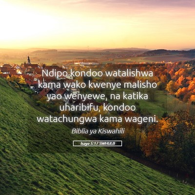 Picture 05 - Isaya 5:17 SWHULB - Ndipo kondoo watalishwa kama wako kwenye malisho - Bible Verse Picture